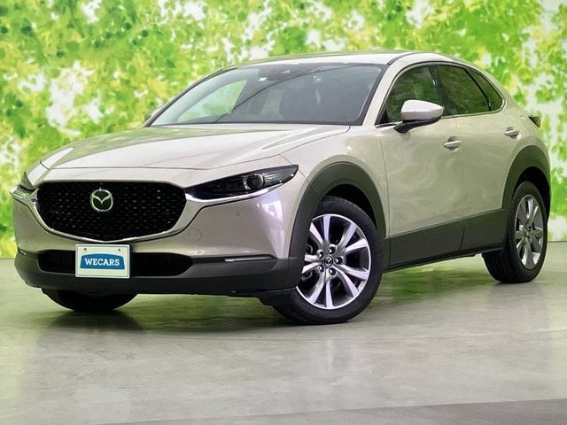 CX-302.0 20S プロアクティブ ツーリングセレクション