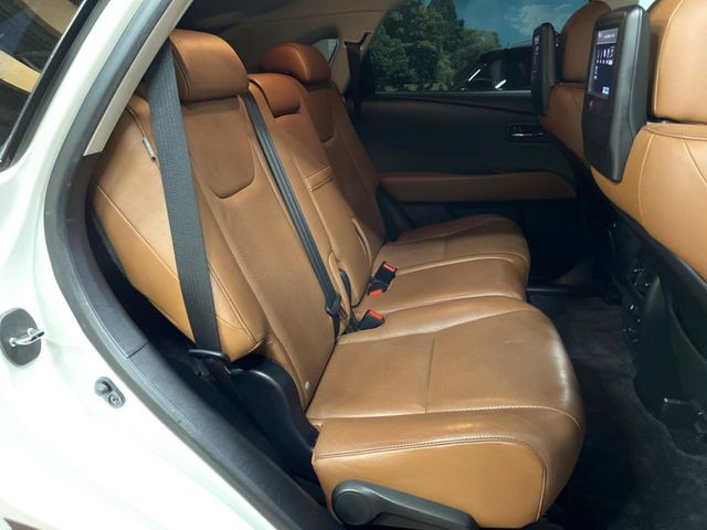 �㕔���Ȃ��C�ɂȂ�悤�ȃL�Y�E�����ւ��蓙�A�傫�ȃ_���[�W�͂Ȃ��A�ǍD�ȏ�Ԃł��B