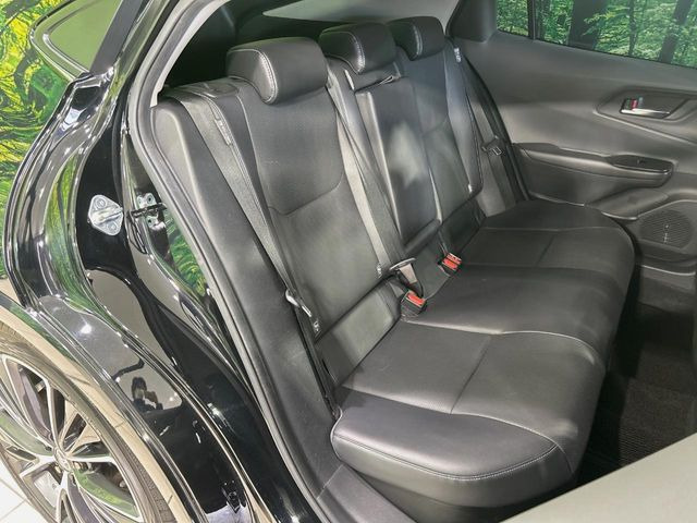 �㕔���Ȃ��C�ɂȂ�悤�ȃL�Y�E�����ւ��蓙�A�傫�ȃ_���[�W�͂Ȃ��A�ǍD�ȏ�Ԃł��B