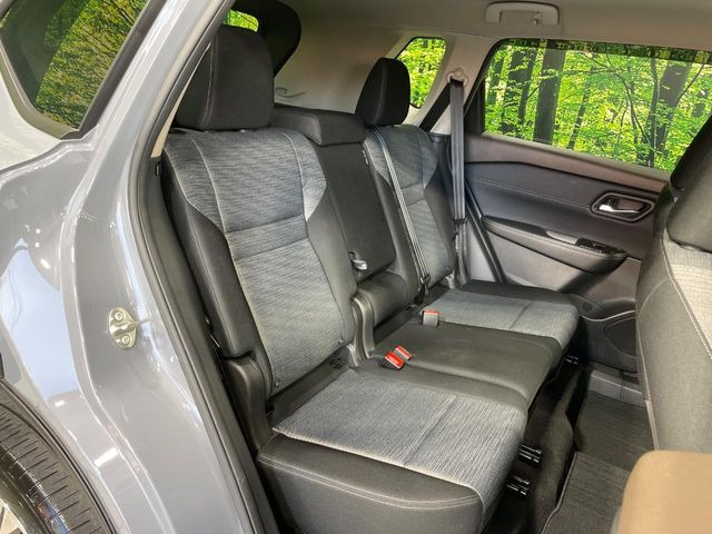 �㕔���Ȃ��C�ɂȂ�悤�ȃL�Y�E�����ւ��蓙�A�傫�ȃ_���[�W�͂Ȃ��A�ǍD�ȏ�Ԃł��B