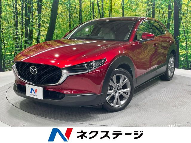 CX-301.8 XD Lパッケージ