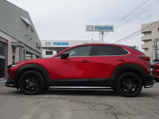 CX-30