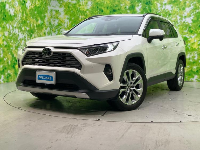 RAV42.0 G Zパッケージ 4WD