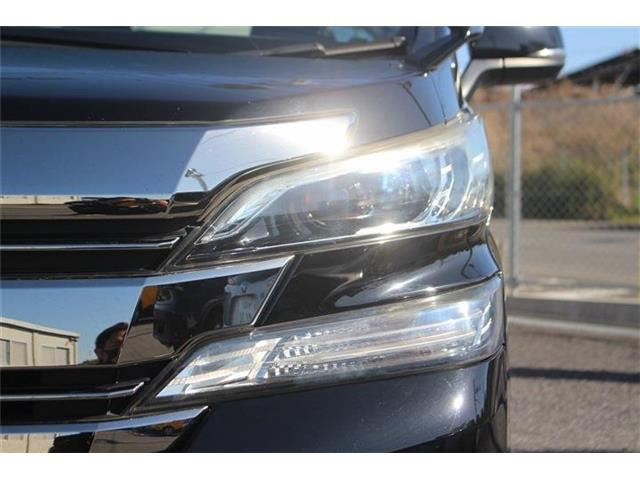 �����X�o���Ȃ����q�l�A���Ǝҗl�ւ̔̔��͂��f�肳���Ă��������܂��B�Ԍ������ԗ��̏ꍇ�́A�Ԍ����擾�������x�������z�ŕ\�����Ă���܂��B