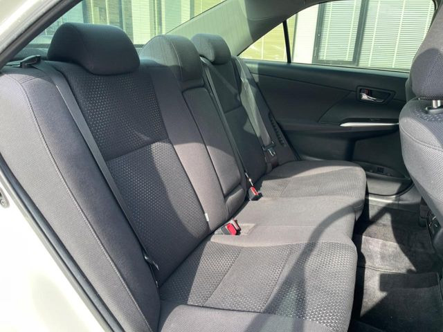 �㕔���Ȃ��C�ɂȂ�悤�ȃL�Y�E�����ւ��蓙�A�傫�ȃ_���[�W�͂Ȃ��A�ǍD�ȏ�Ԃł��B