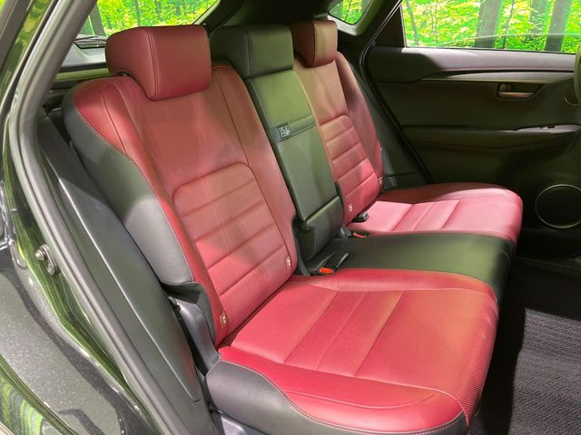 �㕔���Ȃ��C�ɂȂ�悤�ȃL�Y�E�����ւ��蓙�A�傫�ȃ_���[�W�͂Ȃ��A�ǍD�ȏ�Ԃł��B