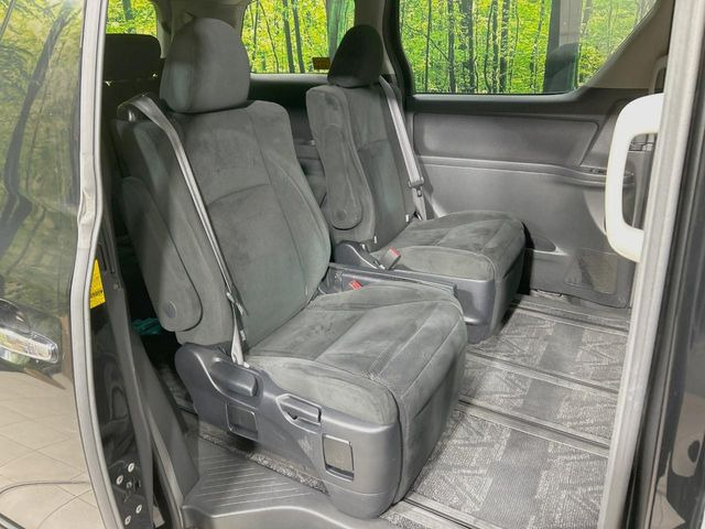 �㕔���Ȃ��C�ɂȂ�悤�ȃL�Y�E�����ւ��蓙�A�傫�ȃ_���[�W�͂Ȃ��A�ǍD�ȏ�Ԃł��B