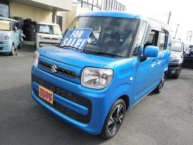 �X�y�[�V�A(�X�Y�L) �n�C�u���b�h(HYBRID) G ���Îԉ摜