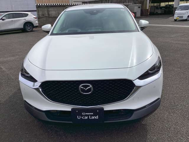 CX-301.8 XD Lパッケージ