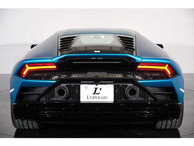 ���A���猩�Ă��X�|�[�c�A�G���K���g�A���݊���������1��B�䂫�t����͂̓����{���M�[�j�Ȃ�ł͂̋��݂ł��B