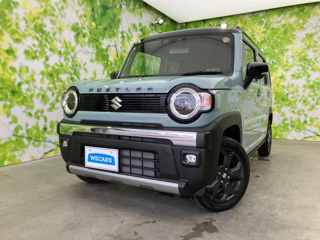 ハスラータフワイルド ターボ