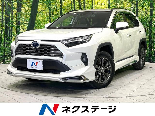 RAV4(トヨタ) 2.5 ハイブリッド G E-Four 4WD 中古車画像