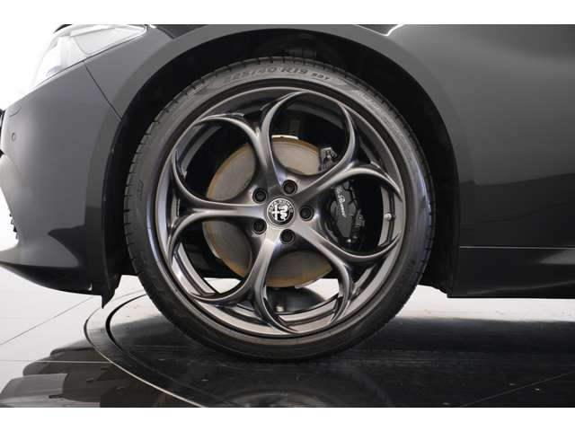 19�C���`5�z�[���_�[�N�f�U�C���A���~�z�C�[������������A�O���F�Ƃ̓��ꊴ������܂��B