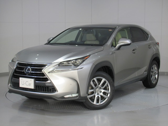 NX300h バージョンL