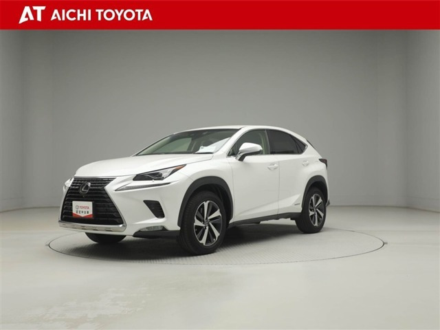 NX300h バージョンL