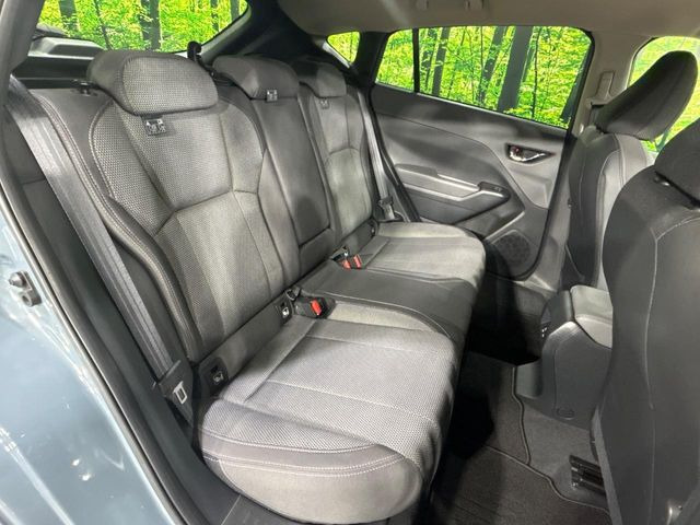 �㕔���Ȃ��C�ɂȂ�悤�ȃL�Y�E�����ւ��蓙�A�傫�ȃ_���[�W�͂Ȃ��A�ǍD�ȏ�Ԃł��B