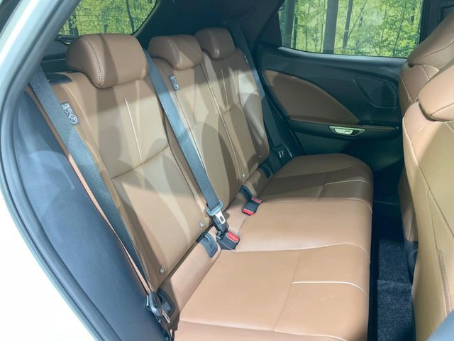 �㕔���Ȃ��C�ɂȂ�悤�ȃL�Y�E�����ւ��蓙�A�傫�ȃ_���[�W�͂Ȃ��A�ǍD�ȏ�Ԃł��B