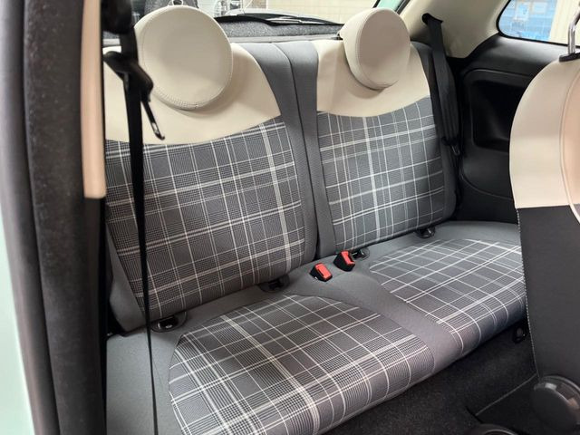 ���㕔���Ȃ��C�ɂȂ�悤�ȃL�Y�E�����ւ��蓙�A�傫�ȃ_���[�W�͂Ȃ��A�ǍD�ȏ�Ԃł��B