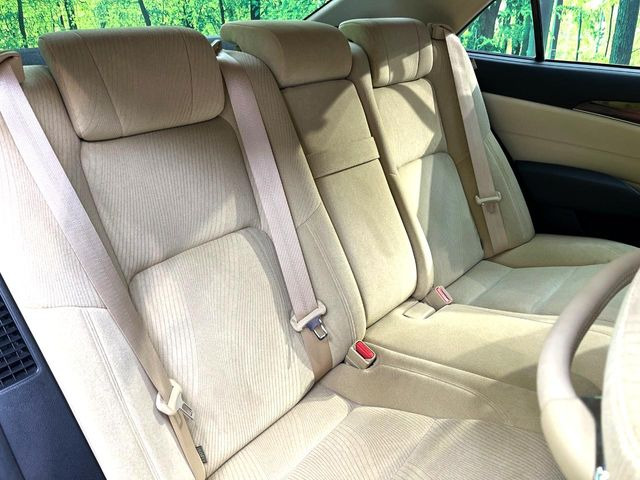 �㕔���Ȃ��C�ɂȂ�悤�ȃL�Y�E�����ւ��蓙�A�傫�ȃ_���[�W�͂Ȃ��A�ǍD�ȏ�Ԃł��B