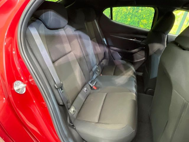 �㕔���Ȃ��C�ɂȂ�悤�ȃL�Y�E�����ւ��蓙�A�傫�ȃ_���[�W�͂Ȃ��A�ǍD�ȏ�Ԃł��B