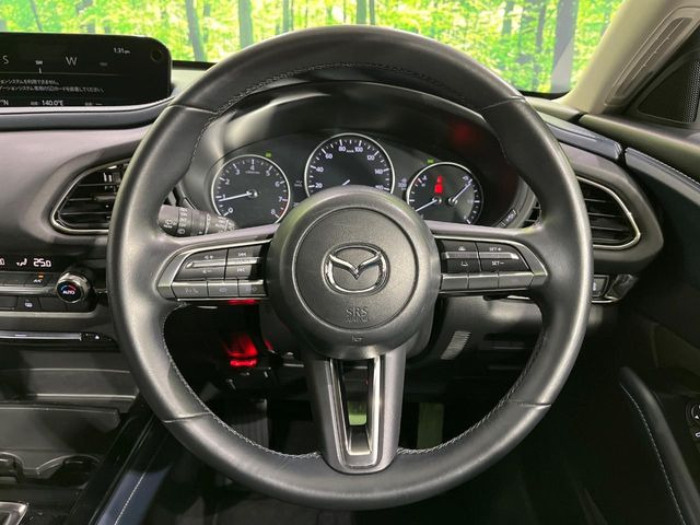 �y�}�c�_�E���[�_�[�N���[�Y�R���g���[���z�������H�ł̒��������s���y��!�����ő��x��ۂN���[�Y�R���g���[�����A�Փˌy���V�X�e���ƘA�g���A�O���̎ԗ������m���ĎԊԂ�ۂ悤�ɑ��x���߂��Ă���܂�!!