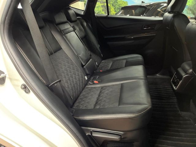 �㕔���Ȃ��C�ɂȂ�悤�ȃL�Y�E�����ւ��蓙�A�傫�ȃ_���[�W�͂Ȃ��A�ǍD�ȏ�Ԃł��B