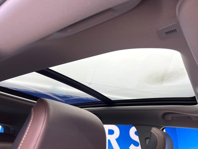 ���p�m���}�~�b�N�K���X���[�t:�唗�͂̃p�m���}���[�t�́A�㕔���Ȃɂ܂ő����Ă���A�J���I�ȋ�Ԃ����y���݂��������܂��B