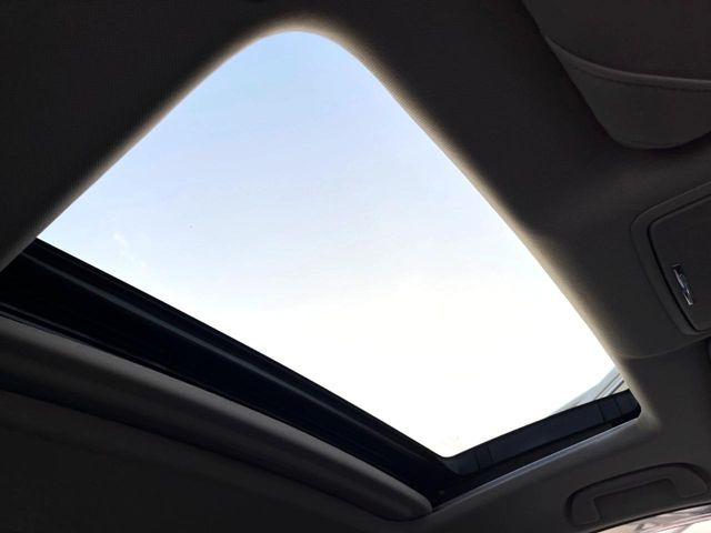 �y�T�����[�t�z�J���������Ղ�̊󏭑����A�T�����[�t����������Ă��܂�!�ԓ��ɖ�����������ꂽ��i�F���y���ވȊO�ɂ��A�ԓ��̋�C���ȒP�Ɋ��C�ł��ĉ��K�ł�!