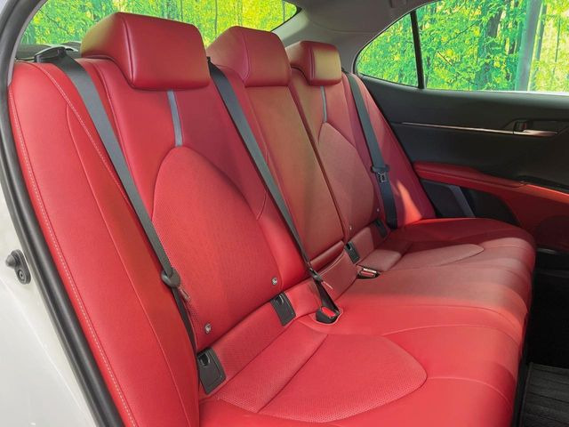 �㕔���Ȃ��C�ɂȂ�悤�ȃL�Y�E�����ւ��蓙�A�傫�ȃ_���[�W�͂Ȃ��A�ǍD�ȏ�Ԃł��B