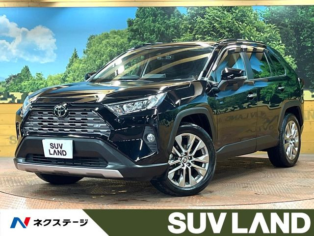 RAV4(トヨタ) 2.0 G Zパッケージ 4WD 中古車画像