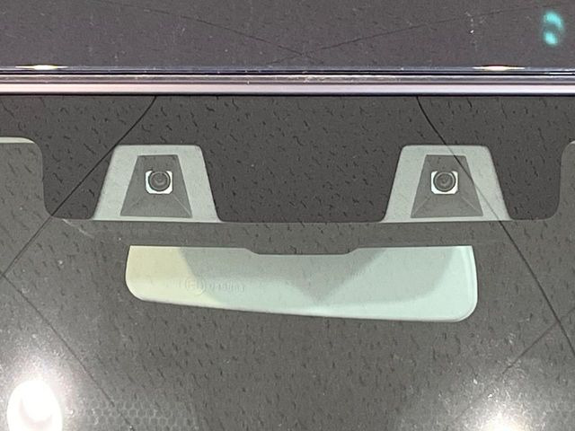 ハスラータフワイルド