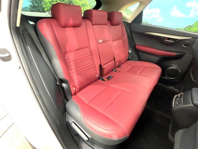 �㕔���Ȃ��C�ɂȂ�悤�ȃL�Y�E�����ւ��蓙�A�傫�ȃ_���[�W�͂Ȃ��A�ǍD�ȏ�Ԃł��B