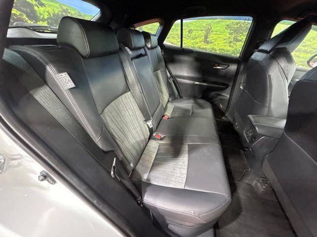 �㕔���Ȃ��C�ɂȂ�悤�ȃL�Y�E�����ւ��蓙�A�傫�ȃ_���[�W�͂Ȃ��A�ǍD�ȏ�Ԃł��B