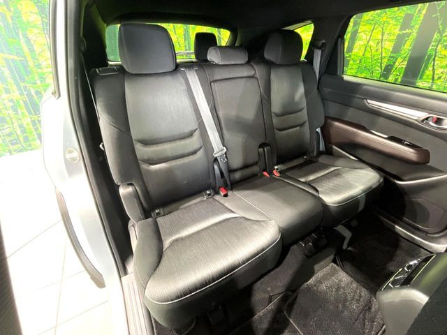 �㕔���Ȃ��C�ɂȂ�悤�ȃL�Y�E�����ւ��蓙�A�傫�ȃ_���[�W�͂Ȃ��A�ǍD�ȏ�Ԃł��B