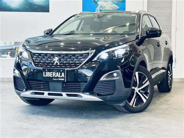 3008アリュール LEDパッケージ