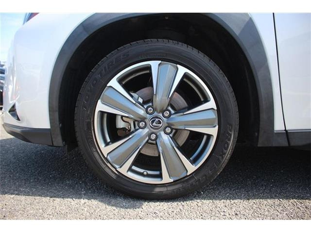 ���Ђ͂��������j�b�Z�C���a���ۑ㗝�X�ł��B�S�c�ƎЈ����ی��̕�W�l���i���擾���Ă���܂��B���C�y�ɂ����k���������B