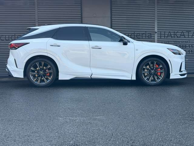 �y�I�v�V�����z�G�A���_�C�i�~�b�N�p�b�P�[�W(TRD�G�A��)�E�I�����W�L�����p�[�E�p�m���}�~�b�N���[�t�B