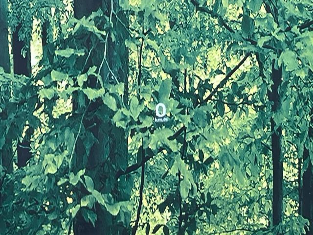 �y�w�b�h�A�b�v�f�B�X�v���C�z���݂̑��x�⑖�s�����f�W�^���\���ŉ^�]�ȑO���̃K���X�ɓ��e!�^�]���A�ڐ������炳���K�v�ȏ����m�F�ł���̂łƂ��Ă��֗��ň��S!