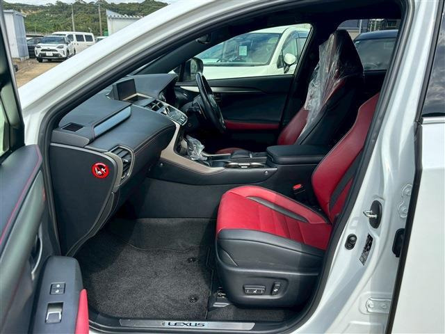 NX300h Fスポーツ