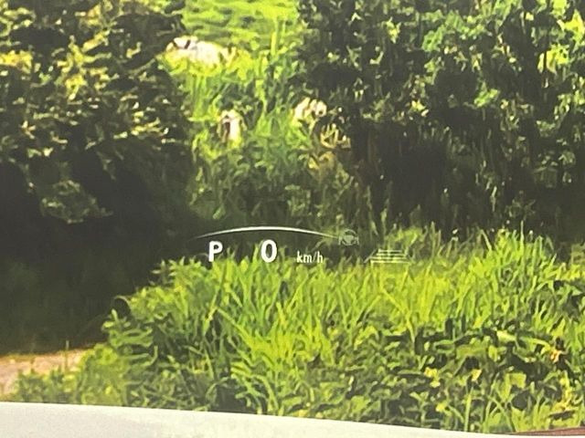 �y�J���[�w�b�h�A�b�v�f�B�X�v���C�z���݂̑��x�⑖�s�����f�W�^���\���ŉ^�]�ȑO���̃K���X�ɓ��e!�J���[�t���Ŏ��F���������A�^�]���ڐ������炳���K�v�ȏ����m�F�ł���̂łƂ��Ă��֗��ň��S!