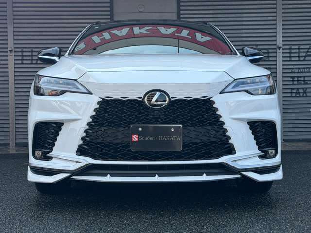 �O��LED�w�b�h���C�g(�I�[�g���C�g�E�I�[�g�n�C�r�[��):LED�|�W�V���j���O���C�g:�z���C�g�m�[���@�K���X�t���[�N(�{�f�B�[�J���[)