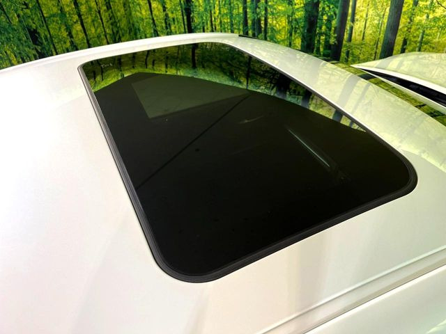 �y�T�����[�t�z�J���������Ղ�̊󏭑����A�T�����[�t����������Ă��܂�!�ԓ��ɖ�����������ꂽ��i�F���y���ވȊO�ɂ��A�ԓ��̋�C���ȒP�Ɋ��C�ł��ĉ��K�ł�!