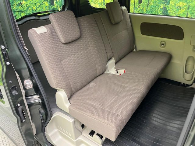 �㕔���Ȃ��C�ɂȂ�悤�ȃL�Y�E�����ւ��蓙�A�傫�ȃ_���[�W�͂Ȃ��A�ǍD�ȏ�Ԃł��B