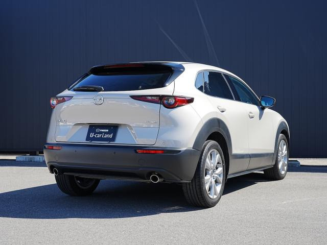 CX-302.0 20S プロアクティブ ツーリングセレクション