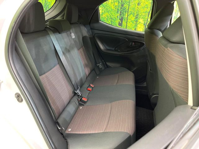 �㕔���Ȃ��C�ɂȂ�悤�ȃL�Y�E�����ւ��蓙�A�傫�ȃ_���[�W�͂Ȃ��A�ǍD�ȏ�Ԃł��B