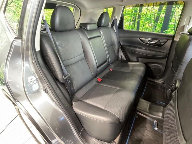 �㕔���Ȃ��C�ɂȂ�悤�ȃL�Y�E�����ւ��蓙�A�傫�ȃ_���[�W�͂Ȃ��A�ǍD�ȏ�Ԃł��B