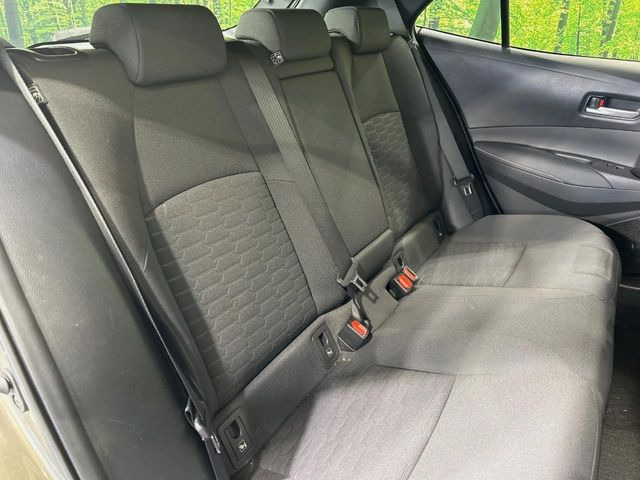 �㕔���Ȃ��C�ɂȂ�悤�ȃL�Y�E�����ւ��蓙�A�傫�ȃ_���[�W�͂Ȃ��A�ǍD�ȏ�Ԃł��B