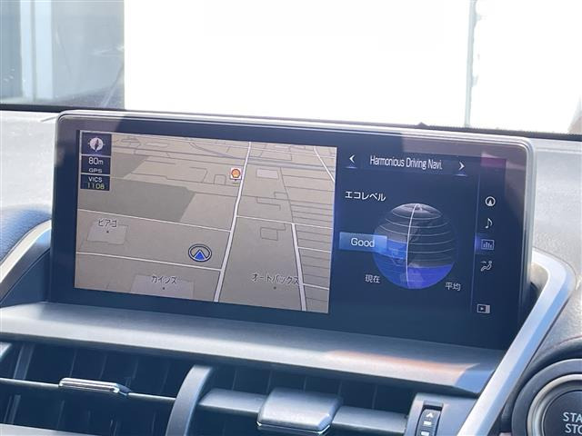 NX300 スパイス&amp;シック