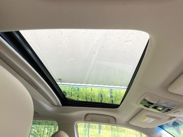 �y�T�����[�t�z�J���������Ղ�̊󏭑����A�T�����[�t����������Ă��܂�!�ԓ��ɖ�����������ꂽ��i�F���y���ވȊO�ɂ��A�ԓ��̋�C���ȒP�Ɋ��C�ł��ĉ��K�ł�!