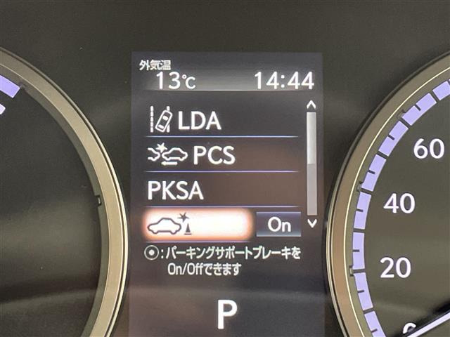 NX300h Fスポーツ